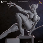| Hand-Painted 14K 3D Resin Figures | Garage Kit