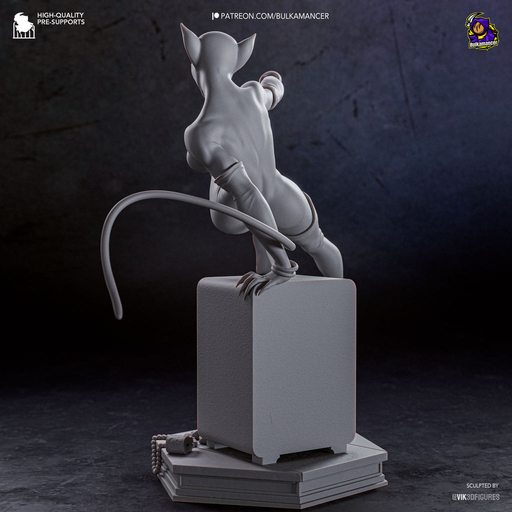 | Hand-Painted 14K 3D Resin Figures | Garage Kit